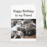 Carte Blank Happy Birthday Friend Pile amusant de Kitten<br><div class="desc">Joyeux Anniversaire avec une pile amusante de chatons pour l'Ami aimant le chat.  Vierge à l'intérieur pour ajouter votre propre message</div>