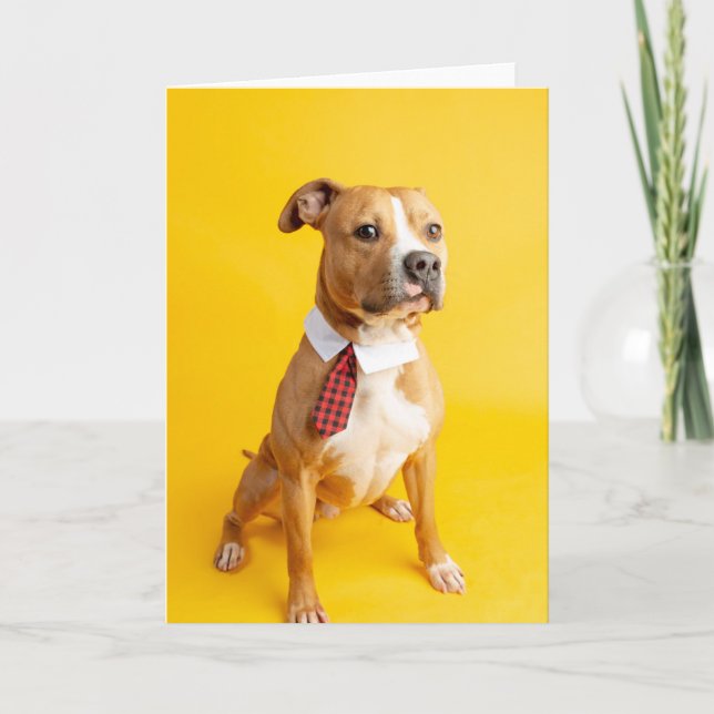 Carte Blank inside card (Devant)