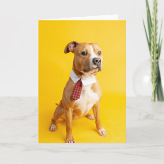 Carte Blank inside card
