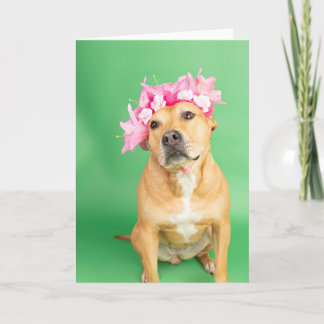 Carte Blank inside card