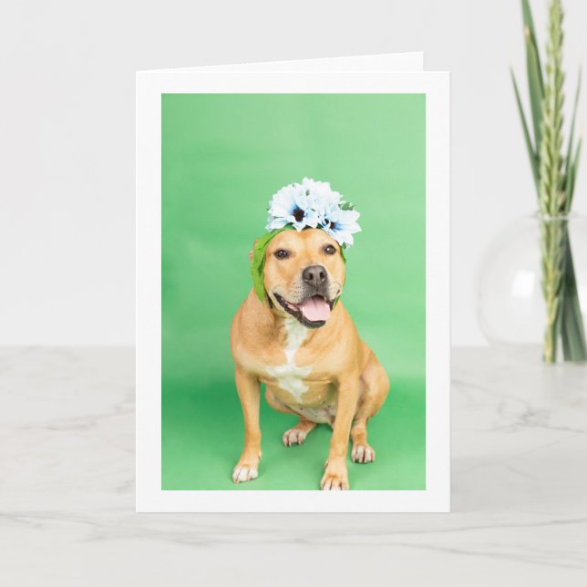 Carte Blank inside card (Devant)