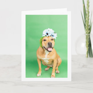 Carte Blank inside card