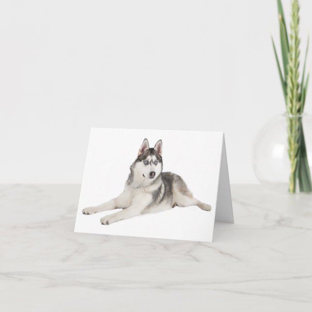 Carte Blank Siberian Husky Puppy Dog Hello Love Miss (Devant)