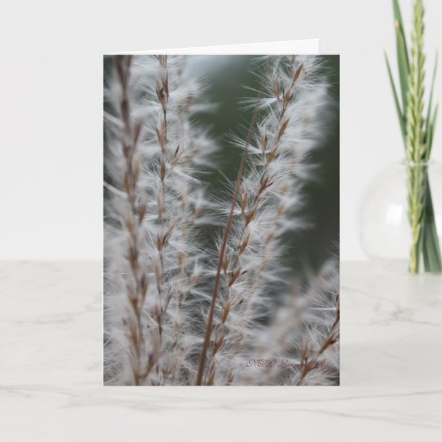 Carte Blé d'hiver (Devant)