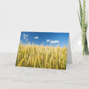 Carte Blé du Kansas