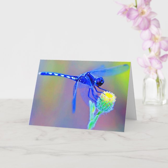 Carte Bleu libellule blanche à l'intérieur (Orchidée)