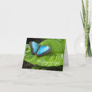 Carte Bleu Papillon Morpho