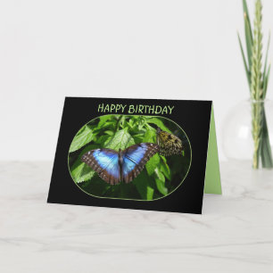 Carte Bleu papillon Morpho Joyeux anniversaire