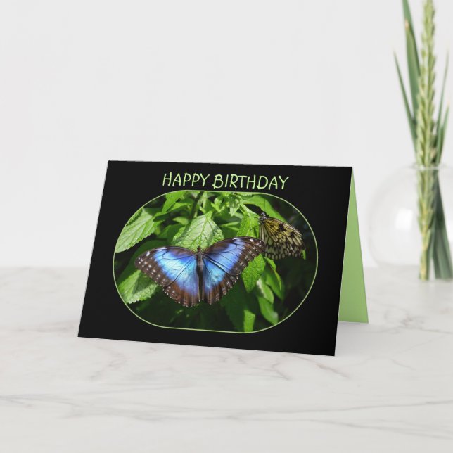 Carte Bleu papillon Morpho Joyeux anniversaire (Devant)