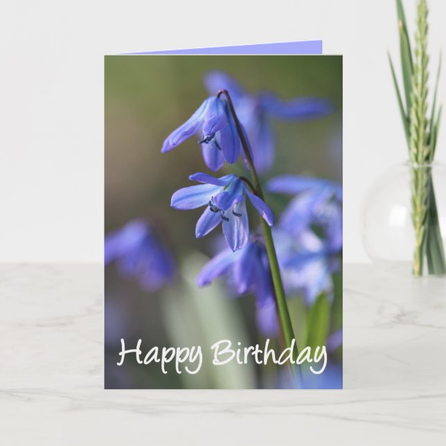 Carte Bleu Scilla siberica (Squill en Bois) Fleurs (Devant)
