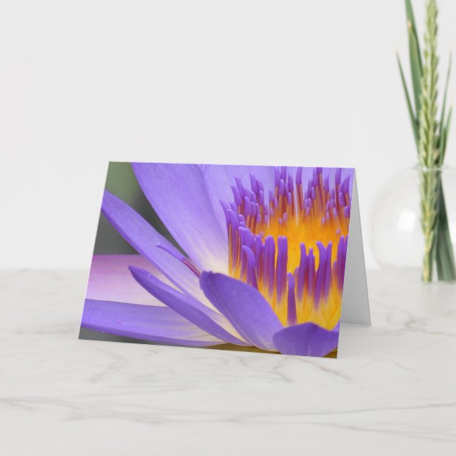 Carte bleue (Devant)