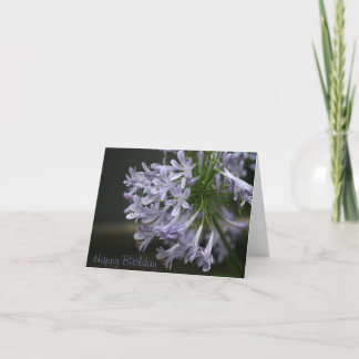 Carte bleue d'Agapanthus de joyeux anniversaire
