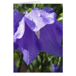 Carte bleue de Bell