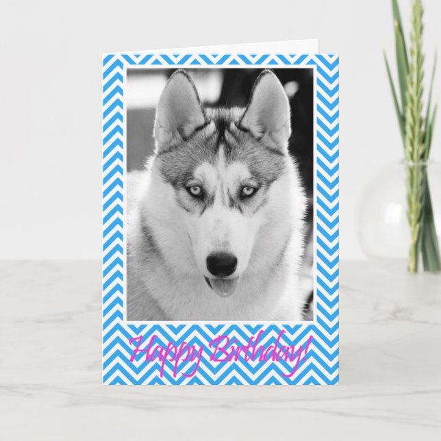 Carte bleue de joyeux anniversaire de chien de (Devant)