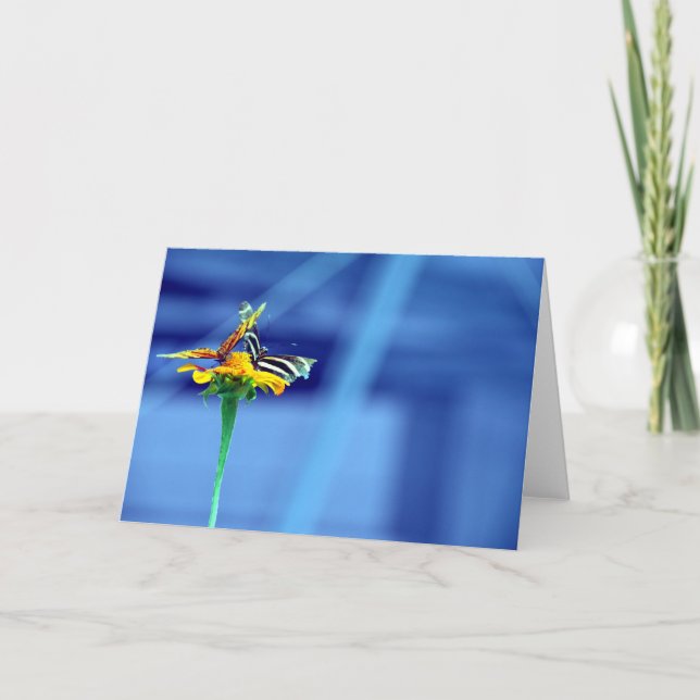 Carte Bleue Fleur Papillon (Devant)