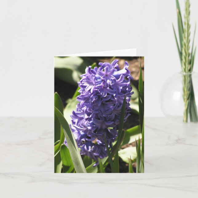 carte bleue Hyacinth (Devant)