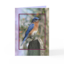 Carte bleue orientale