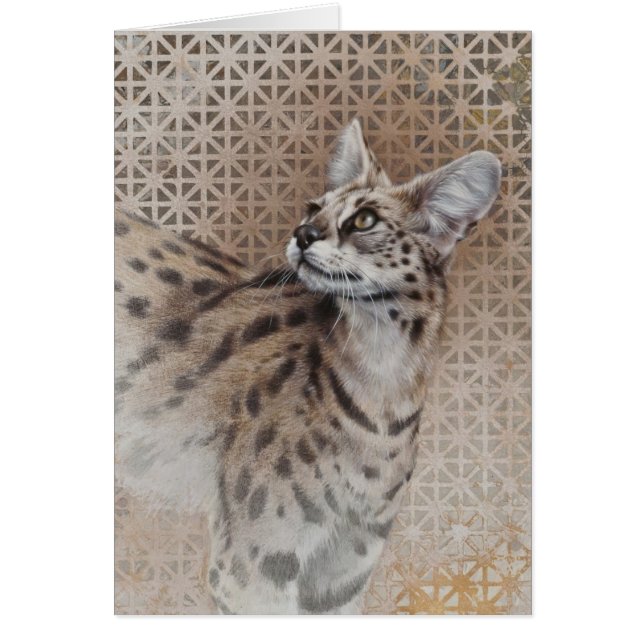 Carte bleue Serval Par Andrew Denman (Devant)