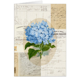 Carte bleue vintage de Français d'hortensia