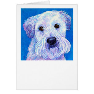 Carte blonde comme les blés de "Bailey" - Terrier
