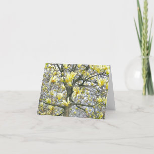 CARTE "BLOSANS JAUNES DOUX DE MAGNOLIA TREE" (PHOTOG)