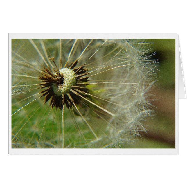 Carte Blow Ball (Devant horizontal)