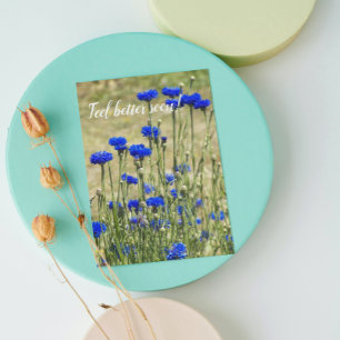 Carte Blue Bachelor Buttons Floral Get Well