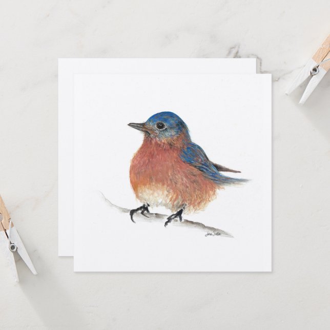 Carte Blue Bird (Devant/Arrière en situation)
