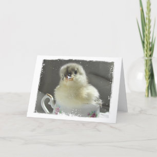 Carte Blue Cochin Chick in a Teacup All Occasions 