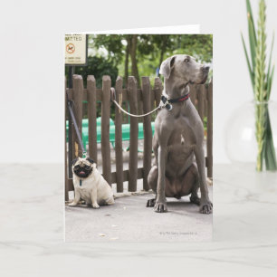 Carte Blue Great Dane et chiens carlins en laisse