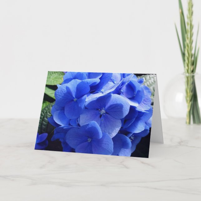 Carte Blue Hydrangea (Devant)