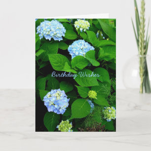 Carte Blue Hydrangea Christian Anniversaire