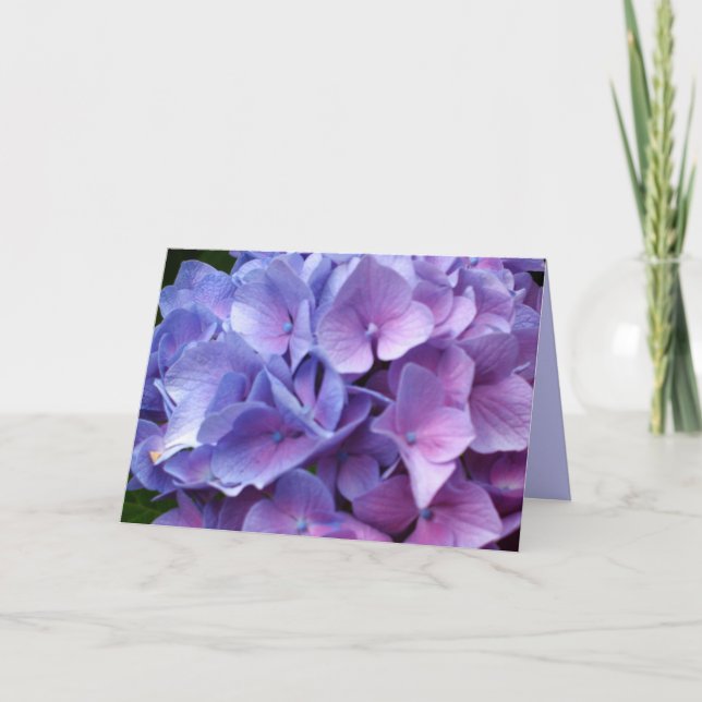 Carte Blue Hydrangeas (Devant)