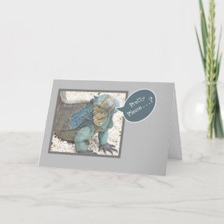 CARTE BLUE IGUANA/HEAD TILTED/"PRETTY PLEASE?/GET WELL S