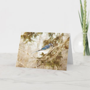 Carte Blue Jay, Anniversaire