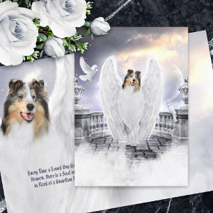 Carte Blue Merle Collie Angel Heaven - Pet Loss Sympathi