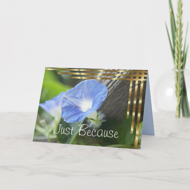 Carte Blue Morning Glory - vide à l'intérieur (Devant)