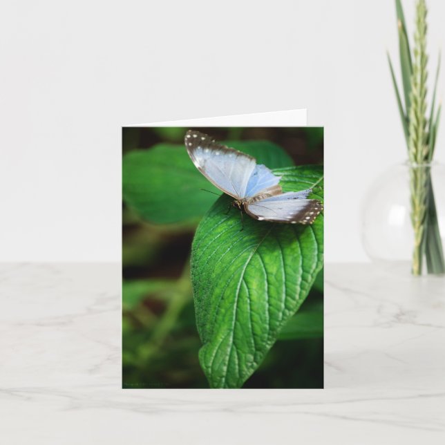 Carte Blue Morpho 112 (Devant)