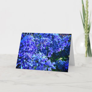 Carte Blue violet lilas romantique bleu floral photo