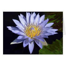 Carte Blue Water Lily