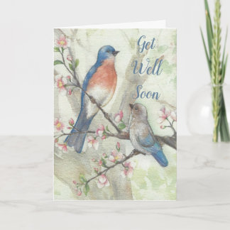 Carte Bluebird Get Well Bientôt
