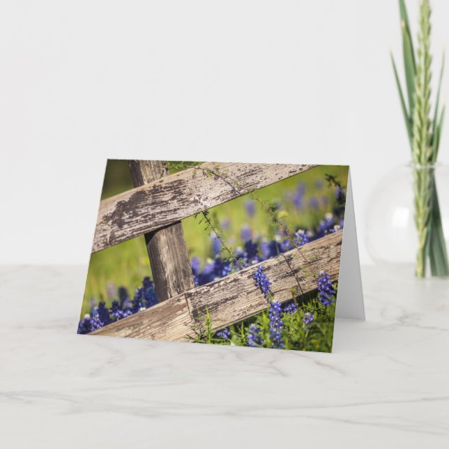 Carte Bluebonnets de Texas autour d'une barrière de pays (Devant)