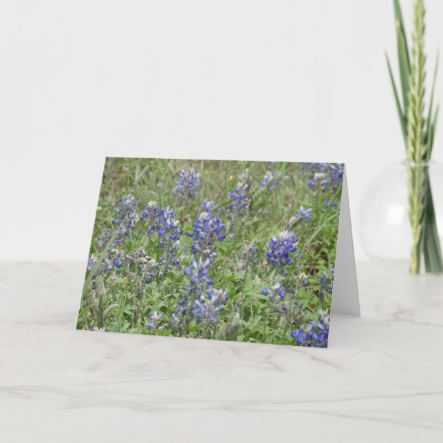 Carte Bluebonnets du Texas (Devant)