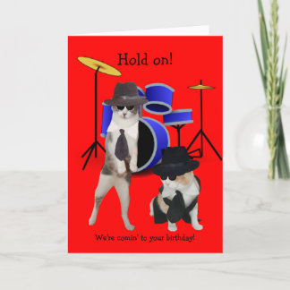 Carte Blues Brothers Cats