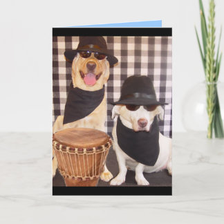 Carte Blues Brothers Labs
