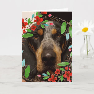 Carte Bluetick Coonhound Dog/ Photo pour animaux de comp