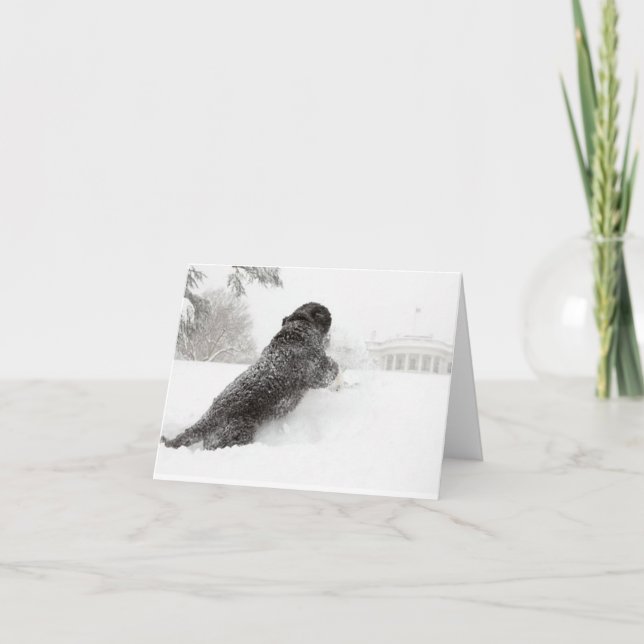 Carte Bo Obama Note - Motifs Sud (Devant)