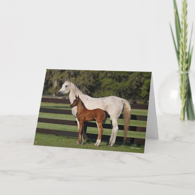 Carte Bob Langrish Arab Mare and Foal Standing Together (Devant)