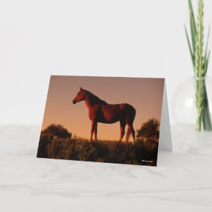 Carte Bob Langrish Arabe debout Au Coucher Du Soleil