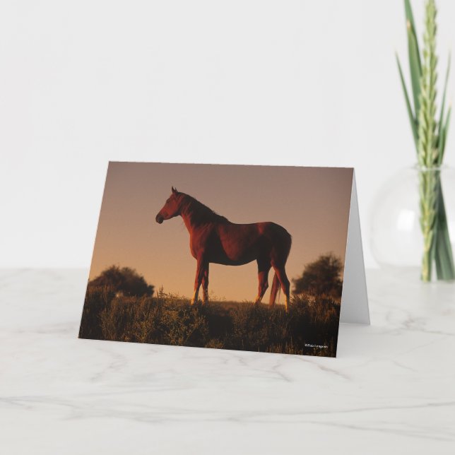 Carte Bob Langrish | Arabe debout Au Coucher Du Soleil (Devant)